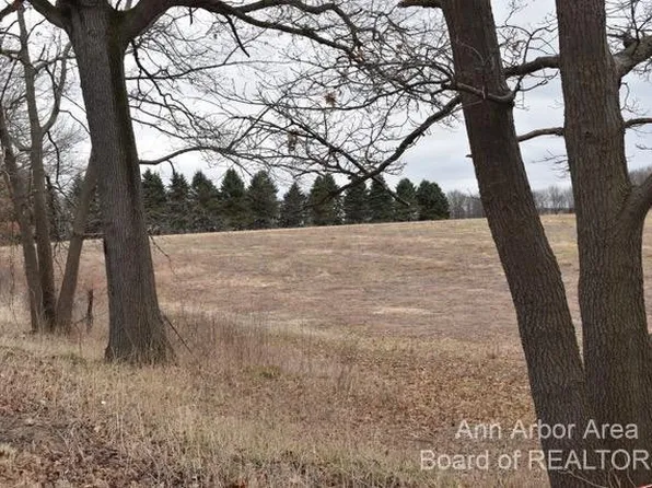 9250 Stofer Rd, Chelsea, MI 48118