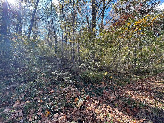 5th image of 0 Hunting Creek Rd Lot 4