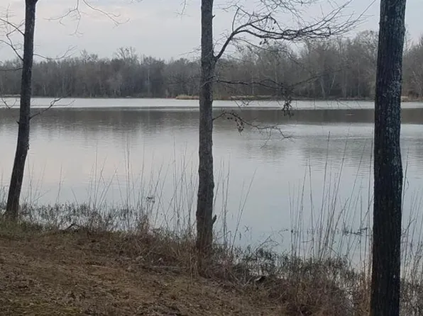 111 Cypress Point Dr, Akron, AL 35441