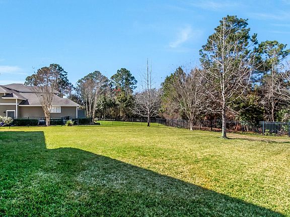 Back Yard 3