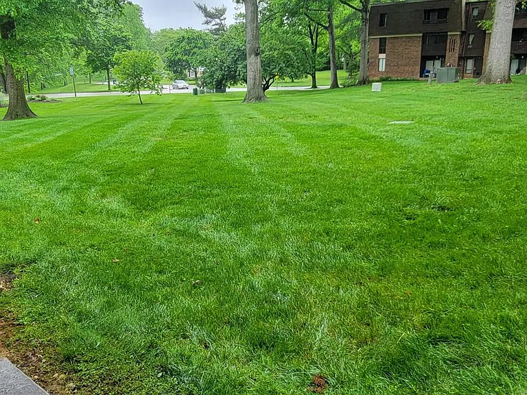 Back yard Walks right out into the park.