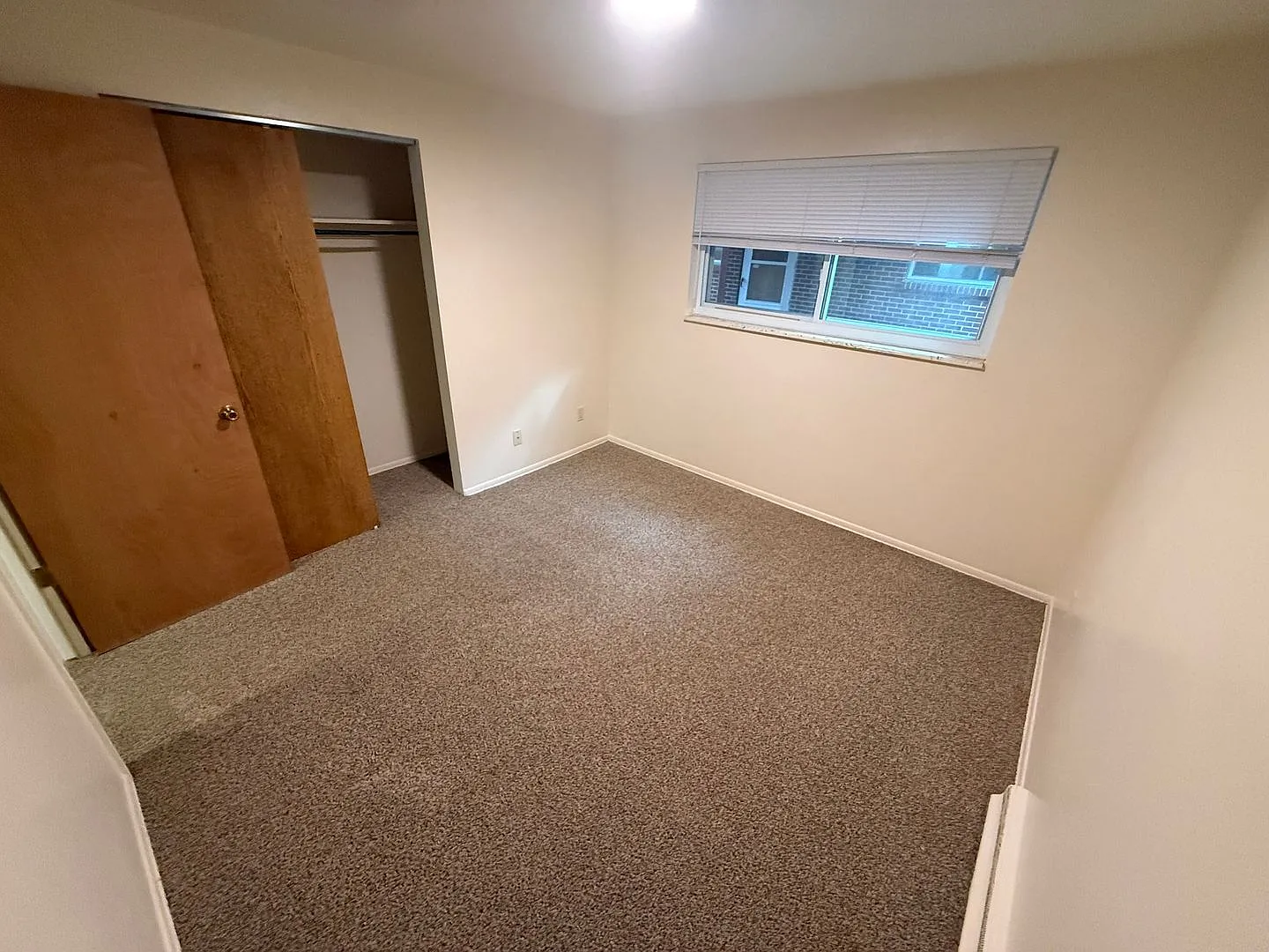 225Terry — Photo 3