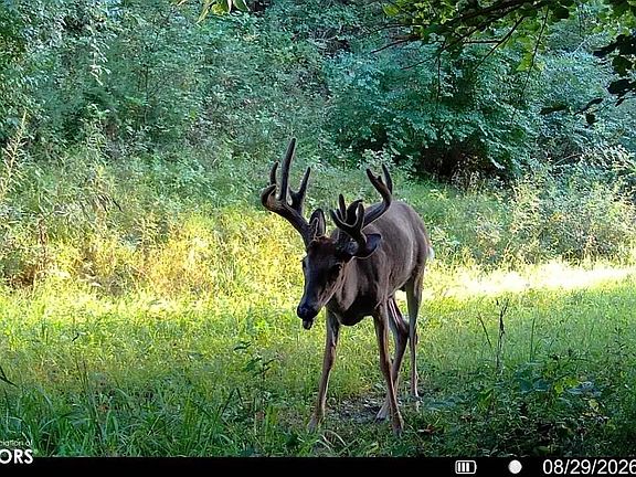 2nd image of 195th St