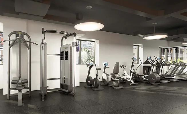 Rented by Bold New York | media 31