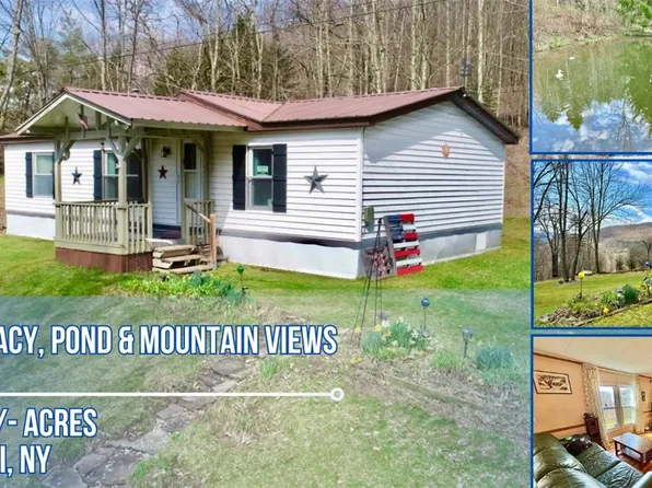 265 Dick Mason Rd, Delhi, NY 13753
