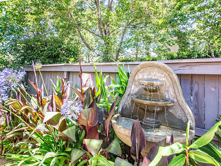 Fountain and side yard