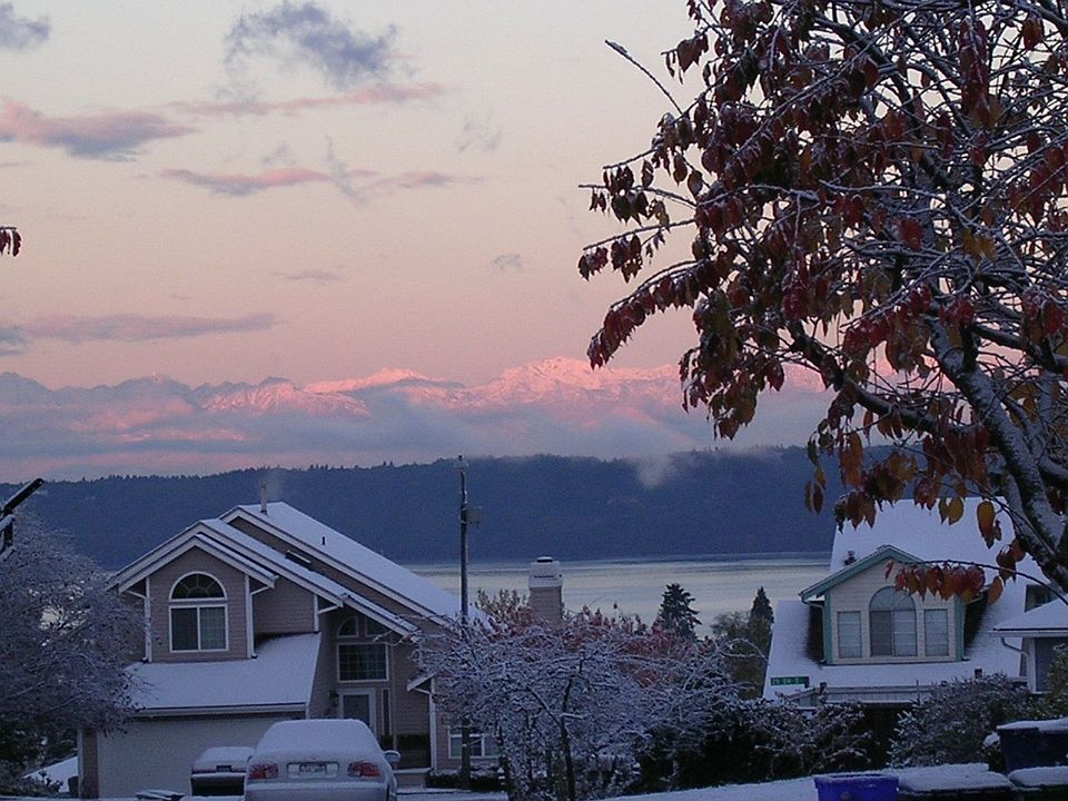 bedroom view