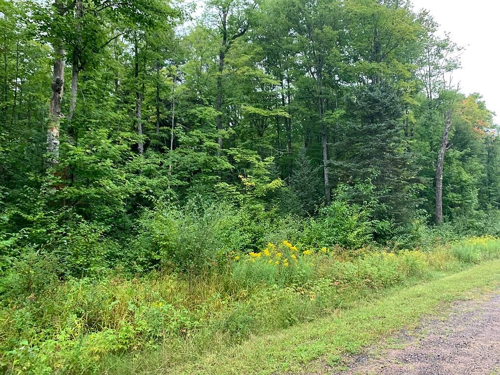 On Tamarack Lake Rd W, Watersmeet, MI 49969 Zillow