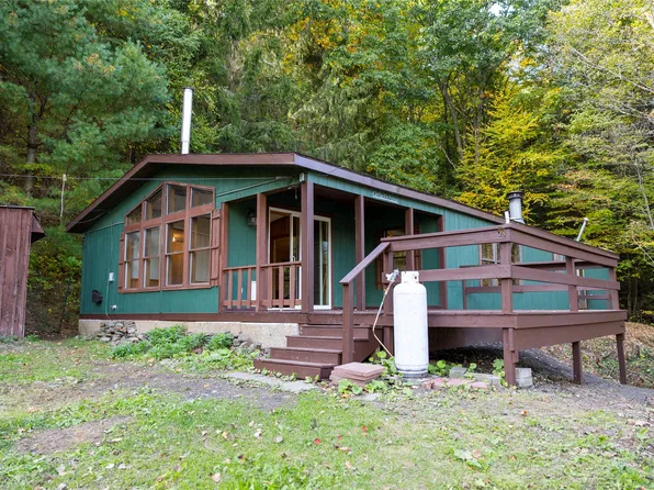 174 Lower Fairfield Rd, Newark Valley, NY 13811