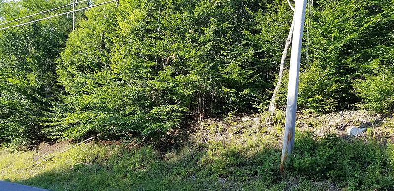 4th image of 0 DYKEN POND Road