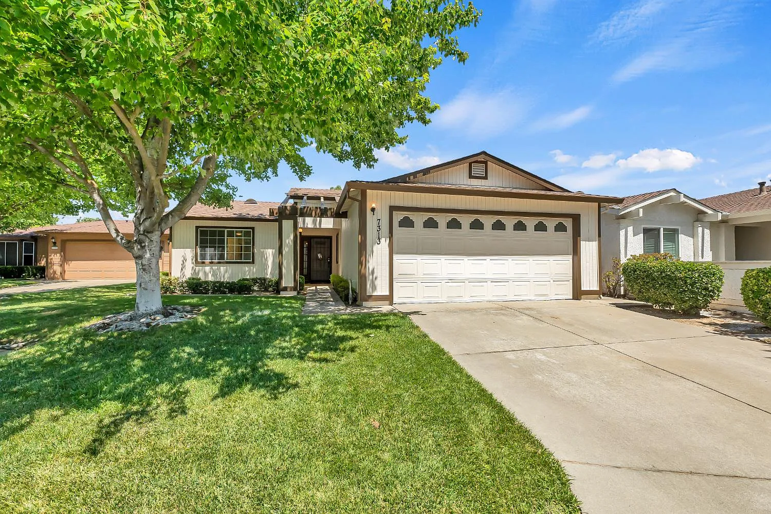 7313 Sunsilver Ln photo 1
