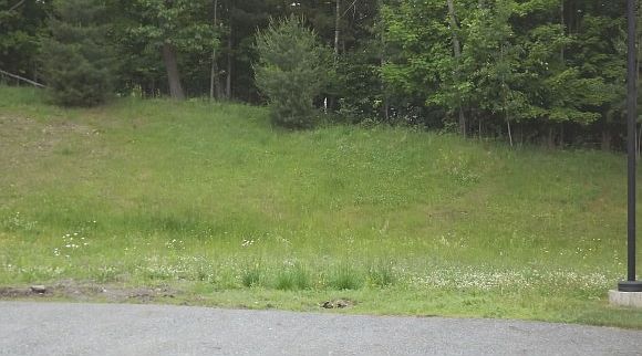 2nd image of 10 Westboro Woods Ln
