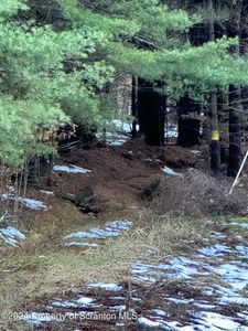 1 Woodland Rd, Brackney, PA, 18812