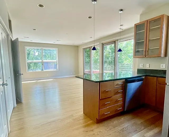 1150 N Hoyne Ave #2 — Photo 3