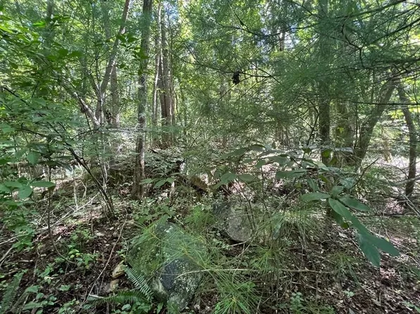 0 Hideaway Pl, Morganton, GA 30560