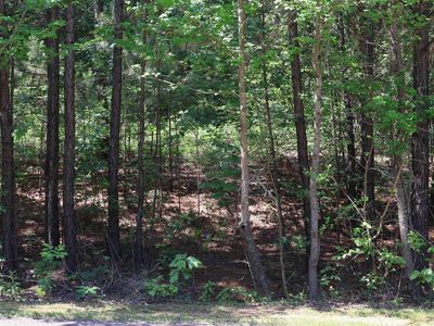 Heather Rdg, Texarkana, AR, 71854