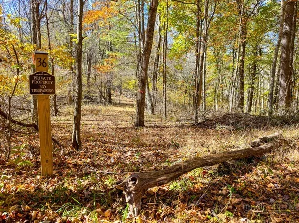 Lot 36 Deer Trail, Crumpler, NC 28617