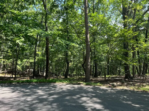 0 Turtleback Path #39, Hardy, VA 24101