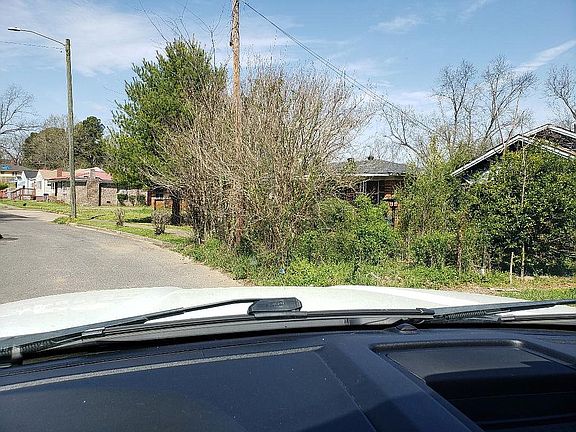 Overgrown front yard