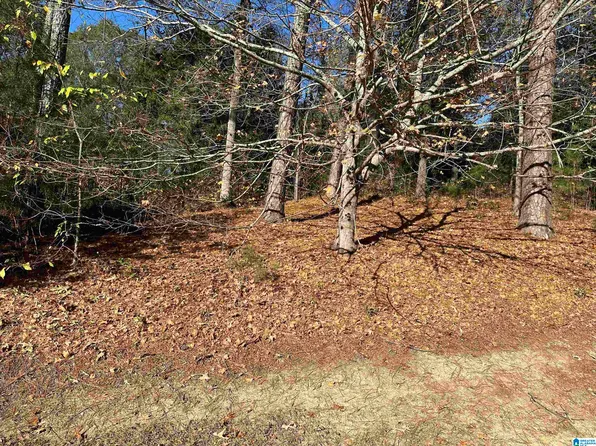 0 SW Monticello Pl Lot 8, Jacksonville, AL 36265