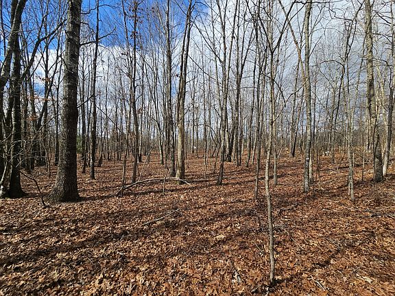 2nd image of 10 Griswold Rd