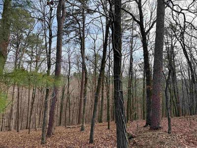 4 Cavalier Ct, Little Rock, AR, 72223