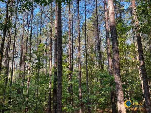 0 Parker St, Hornsby, TN 38044