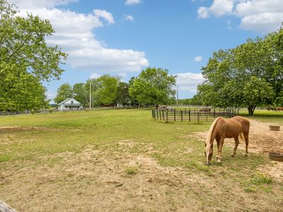 106 N Maple St, Ethridge, TN, 38456