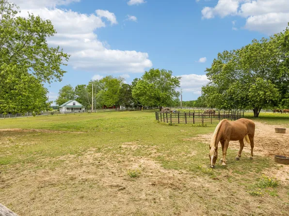 106 N Maple St, Ethridge, TN 38456