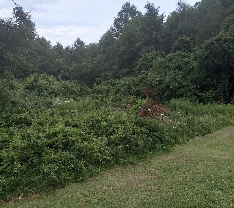 1st image of 0 Lewis Estates Ln Lot 4