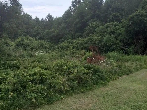 0 Lewis Estates Ln Lot 4, Spotsylvania, VA 22553