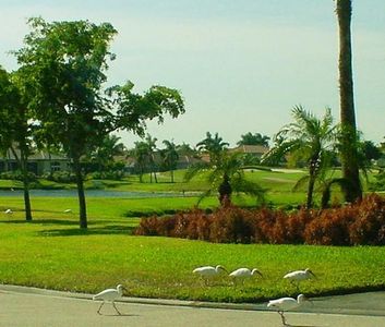 1556 Pebble Beach Ln, Greenacres, FL, 33413