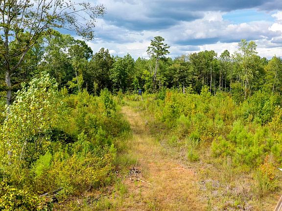 Excellent Deer and Other Game Habitat With Trails Interspersed Throughout