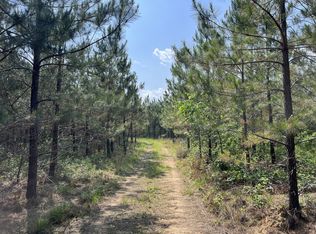 0 Sinking Creek Prong, Linden, TN 37096