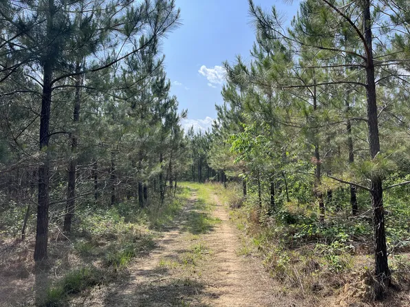 0 Sinking Creek Prong, Linden, TN 37096