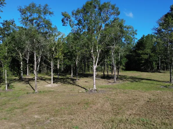 727 Crystal Lake Trl, Huger, SC 29450
