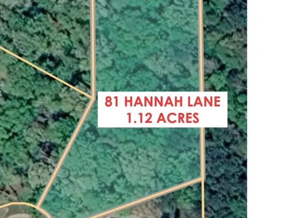 81 Hannah Ln, Pike Road, AL 36064