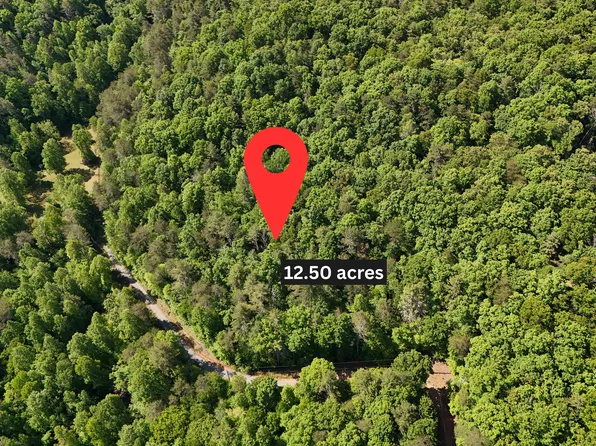 0 Gold Springs Rd, Cherry Log, GA 30522