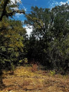 5511 Cold Water Trl, Granbury, TX, 76048