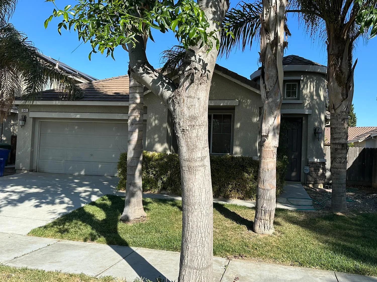 1649 Maidencane Way photo 1