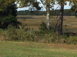 36 Jacobs Point Ct, Ravenel, SC 29470