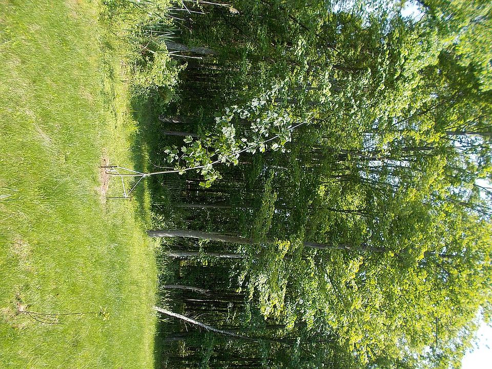 2nd image of 11 Madison Ave