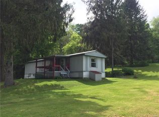 6091 Melody Lake Rd, Willet, NY 13863