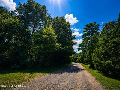 Shelton Cedar Rd Lot 8, Moselle, MS, 39459