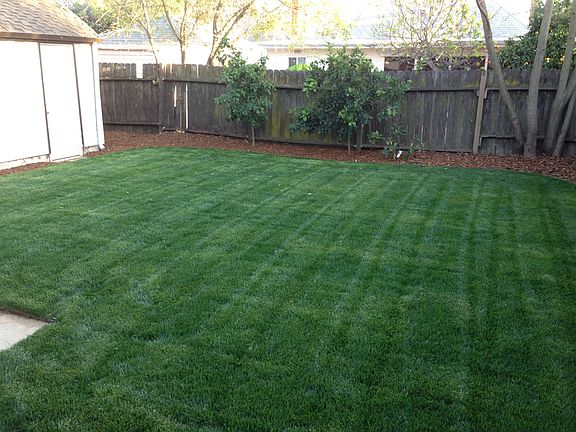Backyard 2