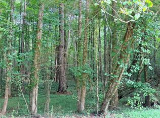 LOT 1 Pettit Rd, Jasper, GA 30143