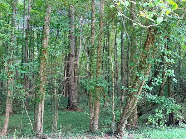 LOT 1 Pettit Rd, Jasper, GA 30143