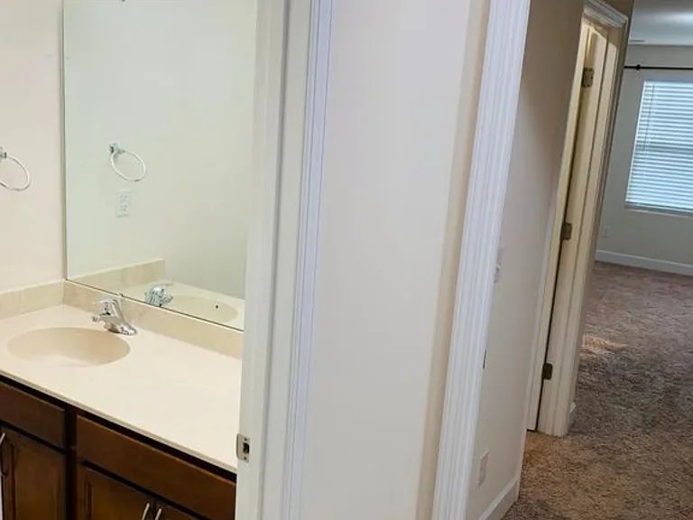 3008 Dressage Dr — Photo 46