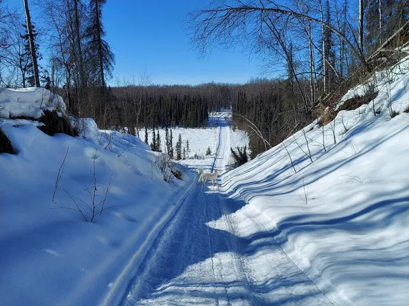 No Road E Walsted Dr, Talkeetna, AK 99676