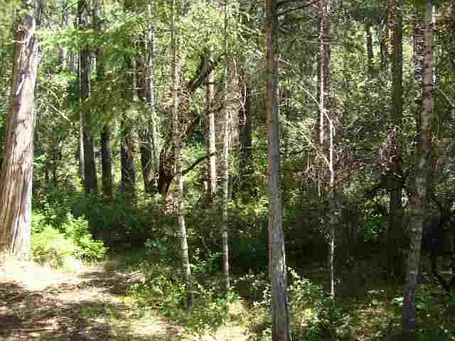 2nd image of 0 Stony Creek Trl